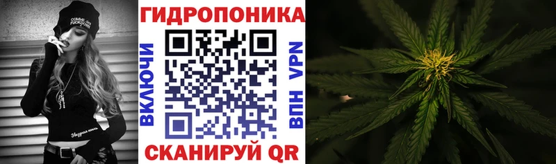 Купить закладку Бошки Шишки  КОКАИН  Галлюциногенные грибы  Меф  Котовск