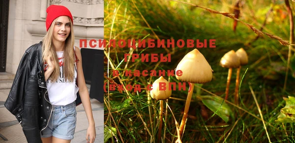 меф VHQ Богданович