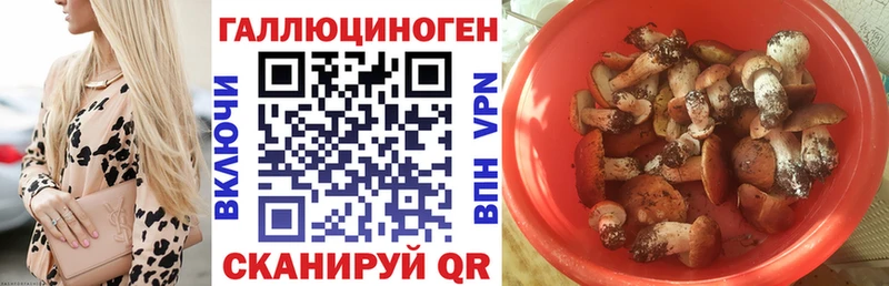 Купить закладки  Котовск  Псилоцибиновые грибы мицелий 