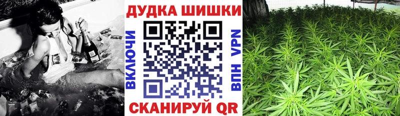 Купить закладки  Котовск  Шишки марихуана THC 21% 
